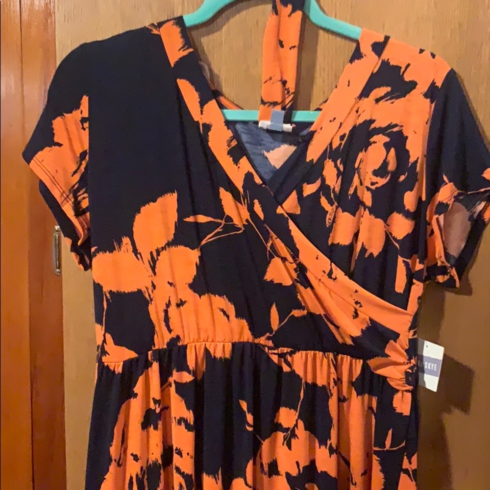 Meri Sky blue and orange floral dress